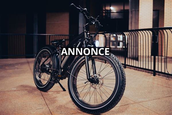 Hop pa en elcykel nar vejret er til det